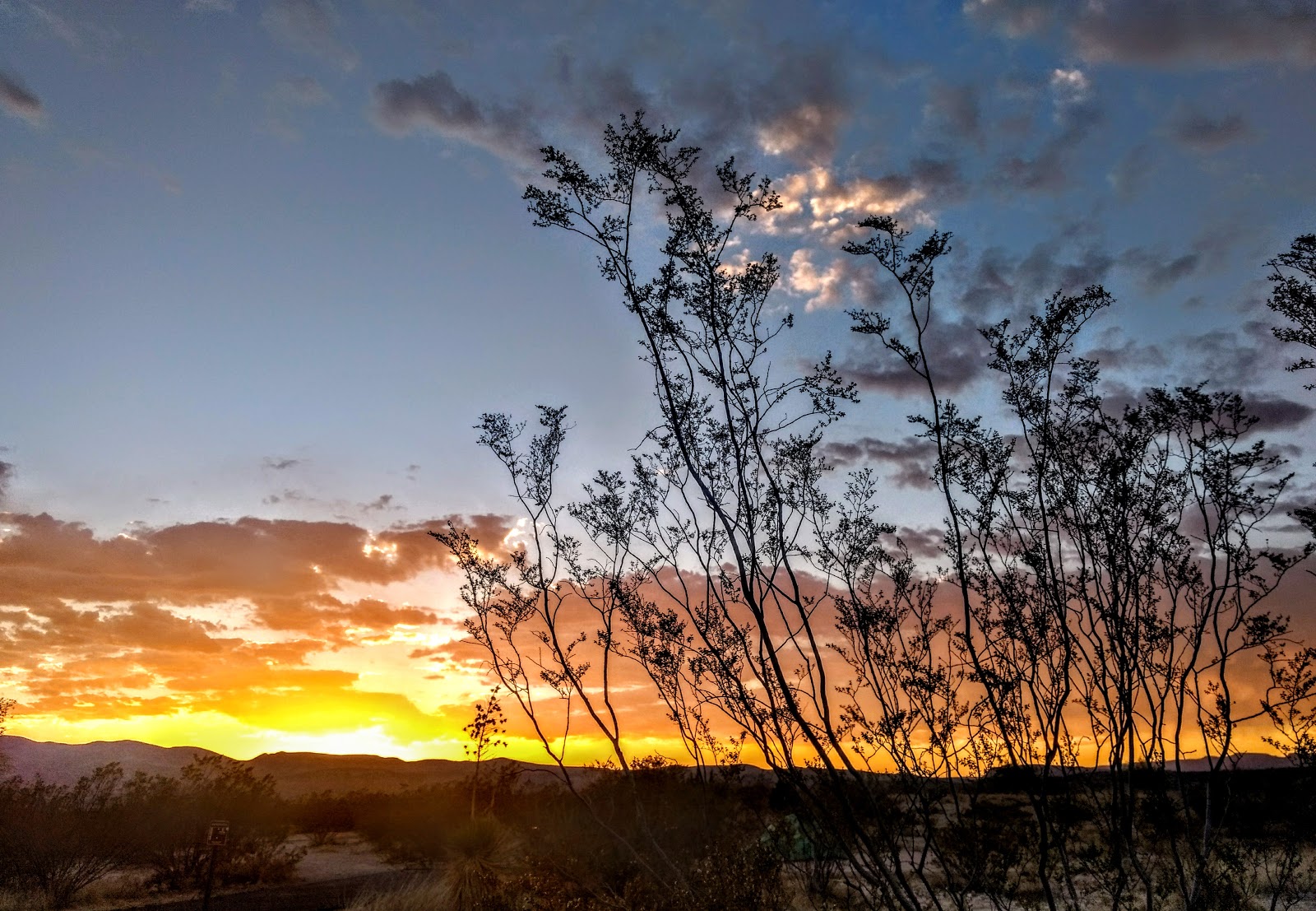 Dead Horse Ranch State Park