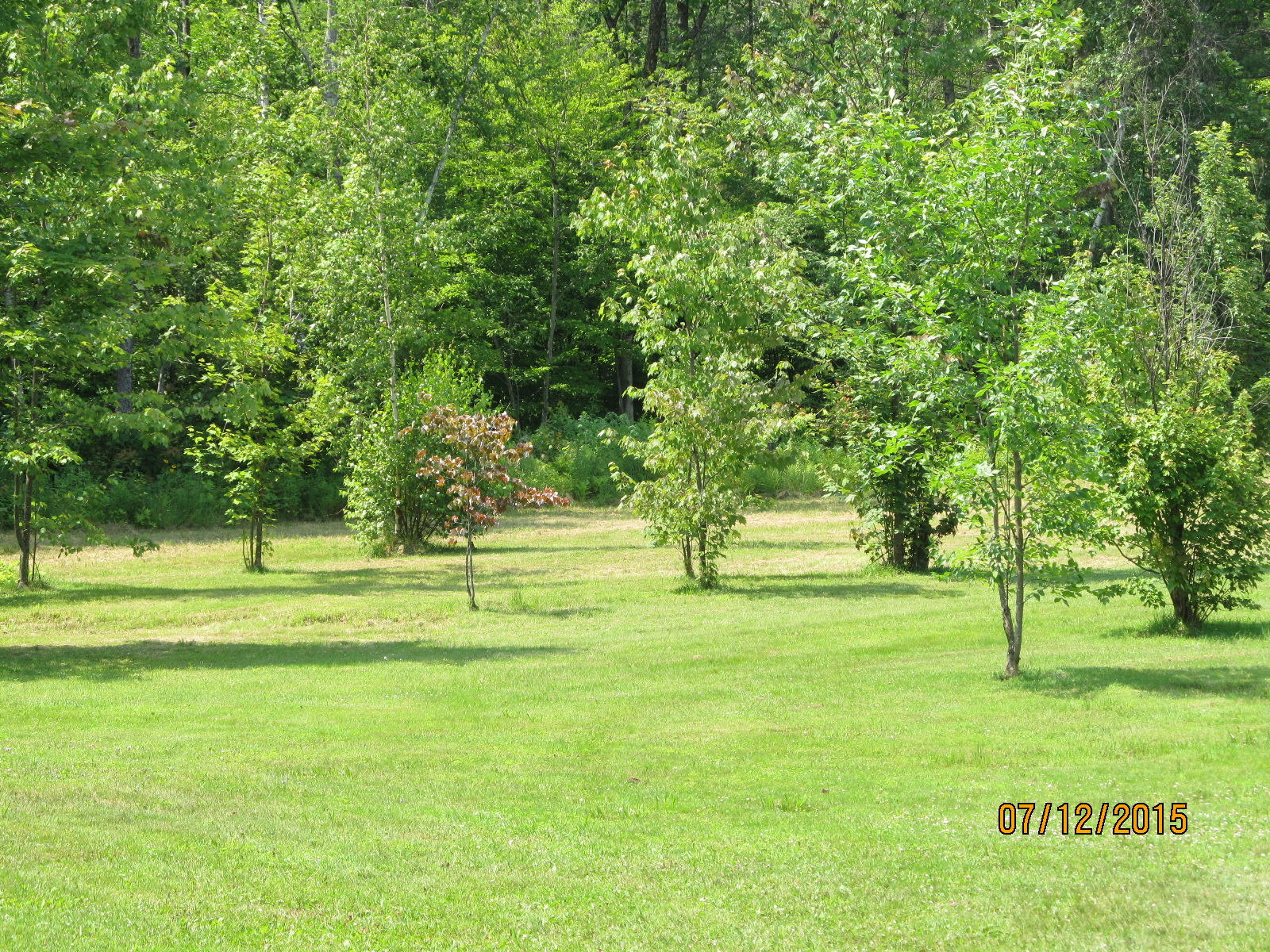 Country Village Campground