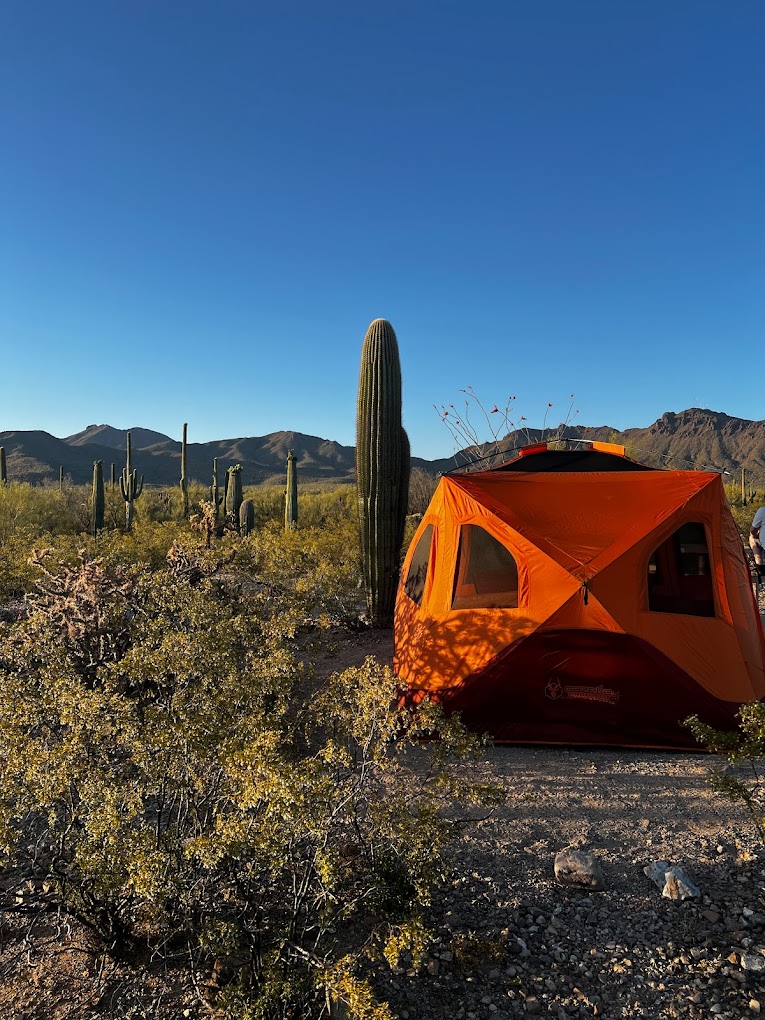 Gilbert Ray Campground Tucson Mountain Park
