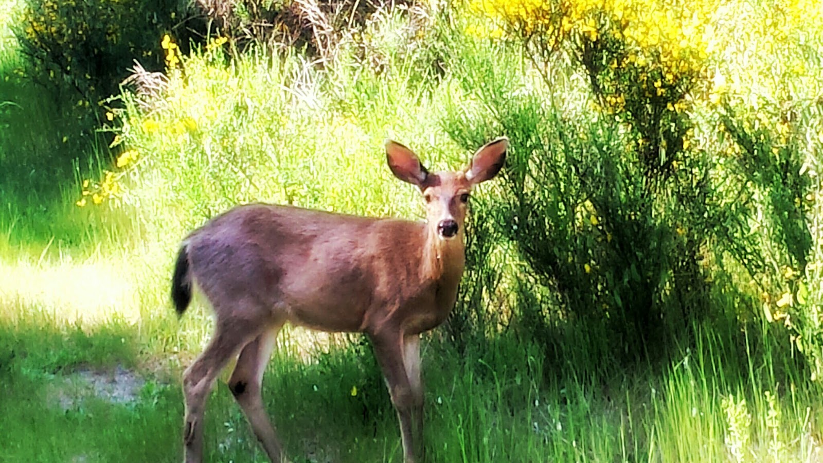 Jim Creek Wilderness Recreation Area