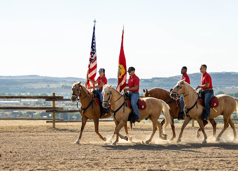 Buffalo Bluff RV Park