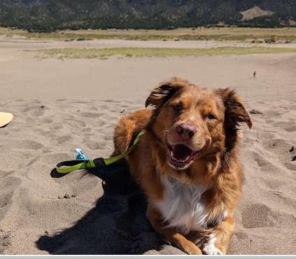 Great Sand Dunes National Park