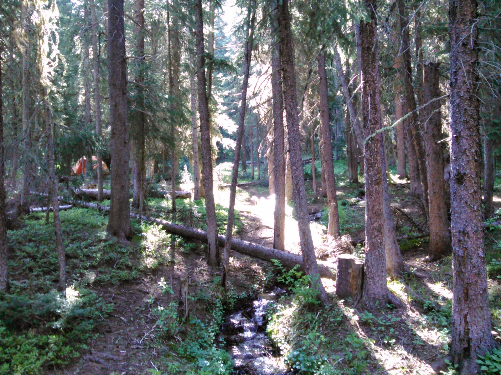 Robbers Roost Campground