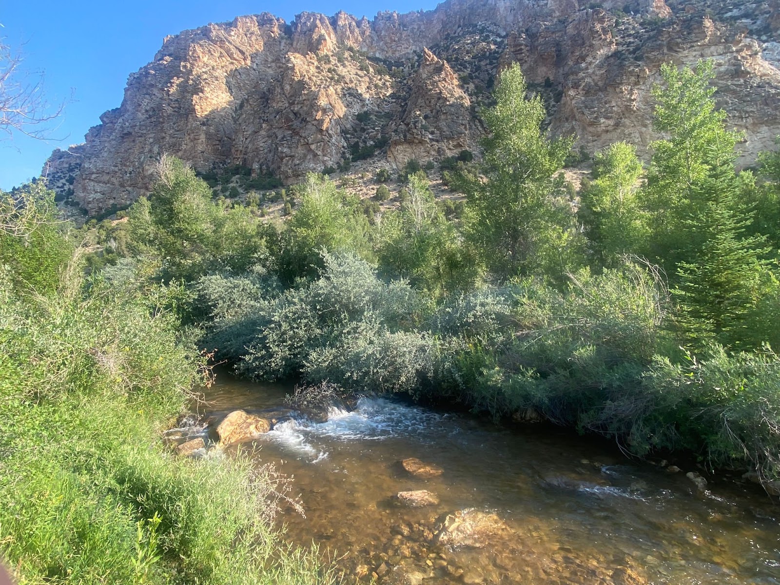 Cottonwoods River Camp