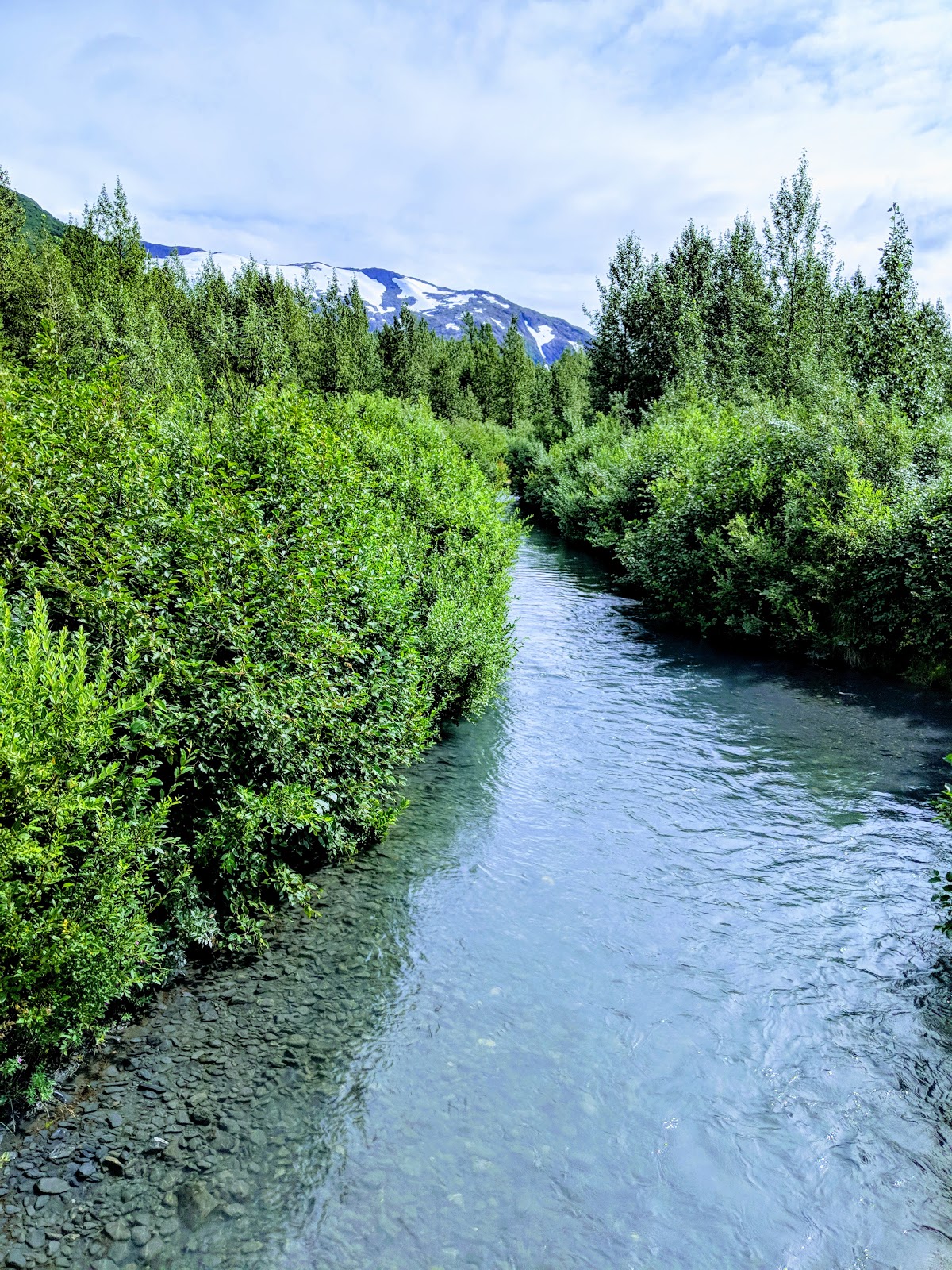 Williwaw NF Campground