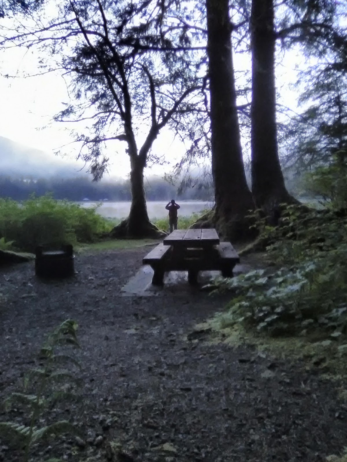 Signal Creek NF Campground