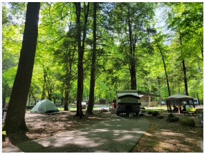 Smokemont Campground