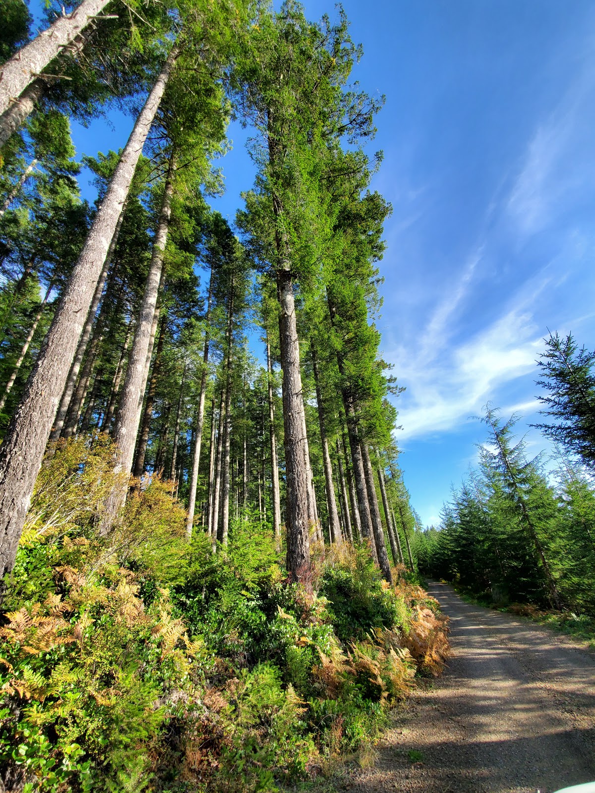 South Lake Campground