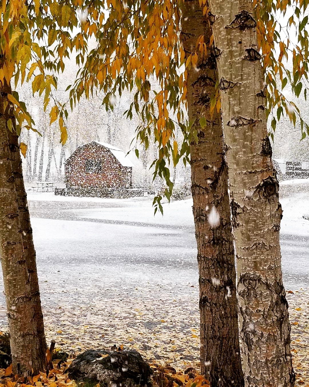 Steamboat Campground