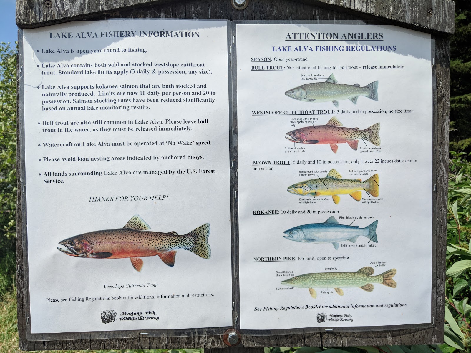 Lake Alva Campground