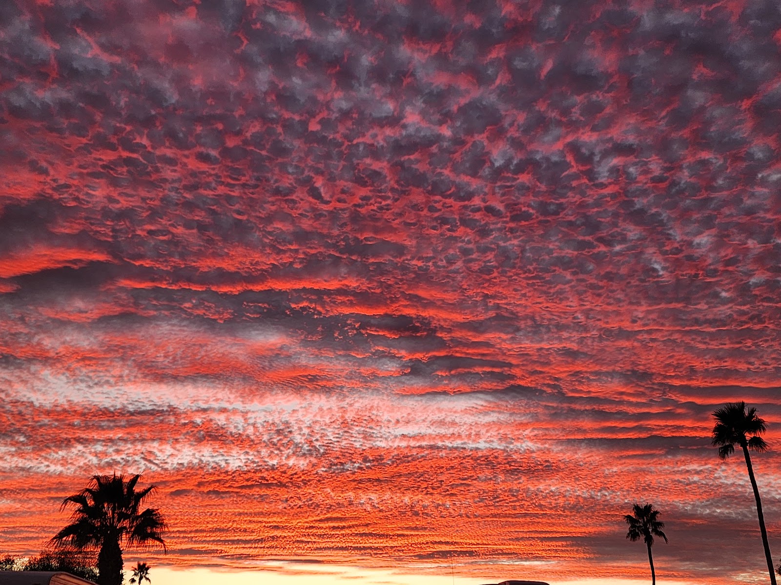 Caravan Oasis RV Park