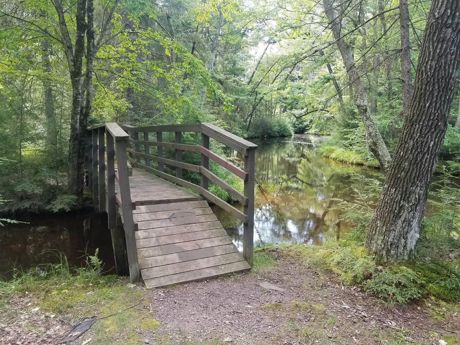North - Brunet Island State Park