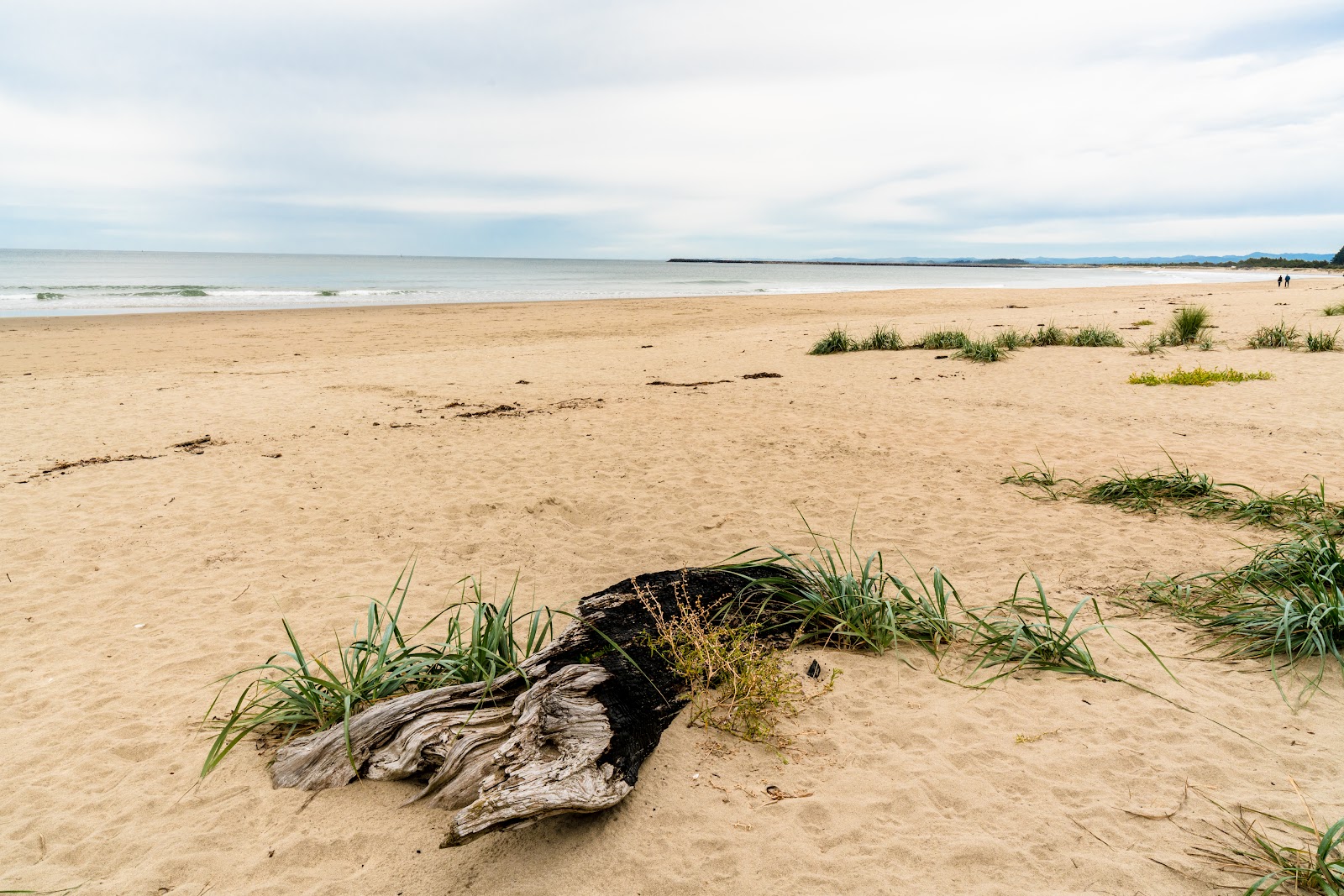 Oceanside Beachfront RV Resort
