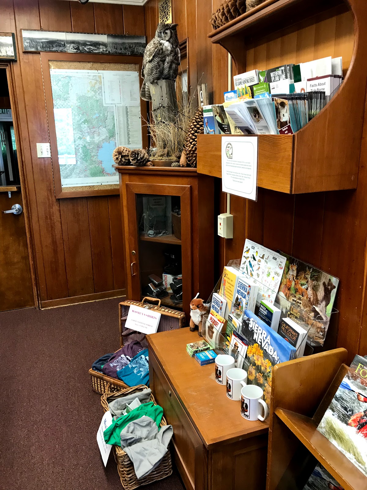 Shoreline Campground