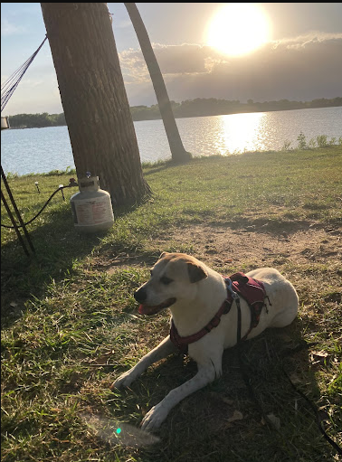 Shady Bay - Medicine Creek SRA