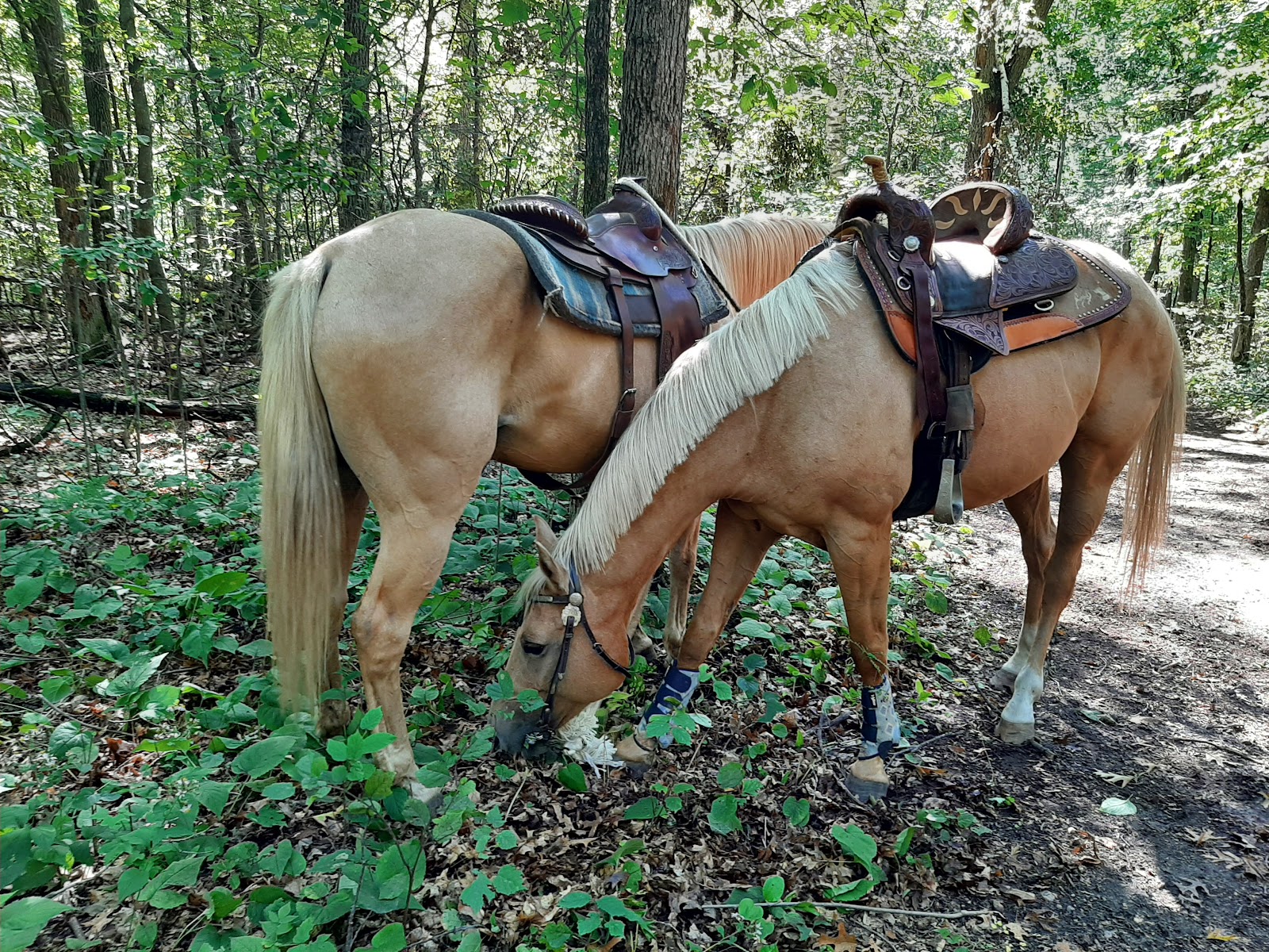 Walter E. Stark Assembly Area