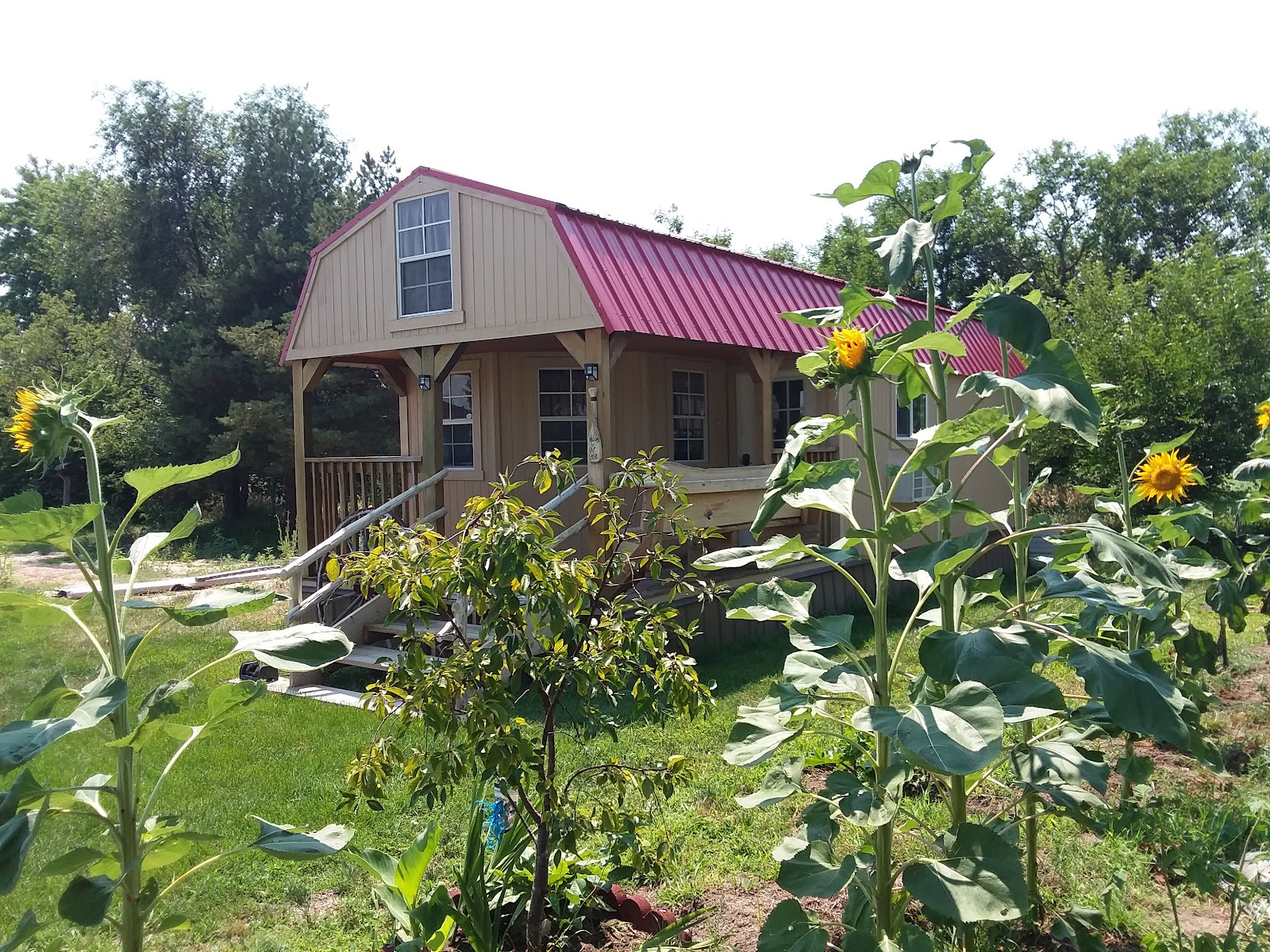 Wheel Inn Motel & RV Park