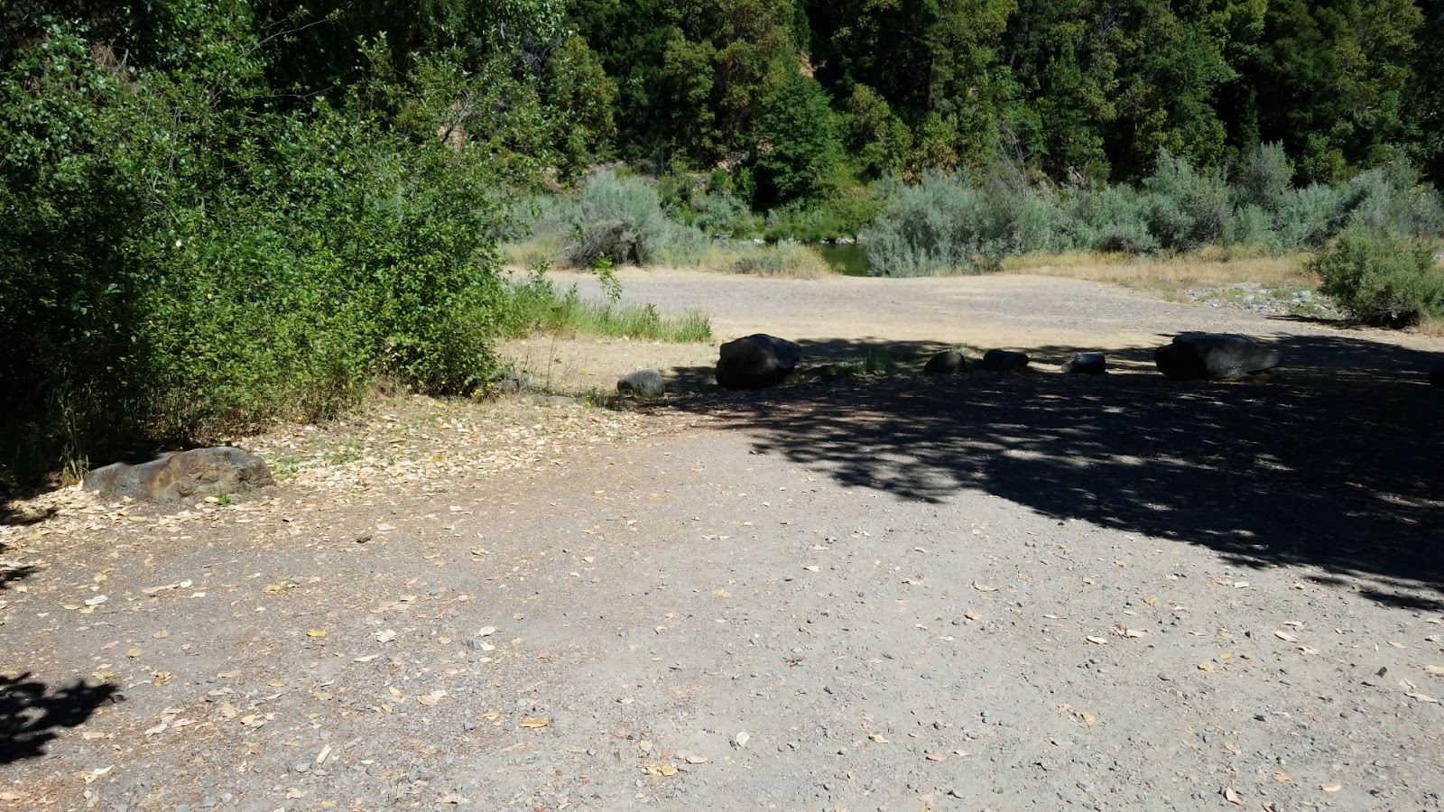 Curly Jack Campground