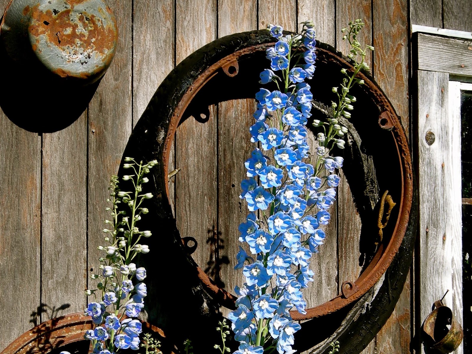 Crow Creek Historic Gold Mine