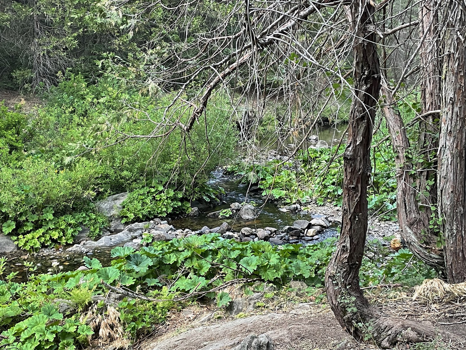 Texas Flat Group Campground