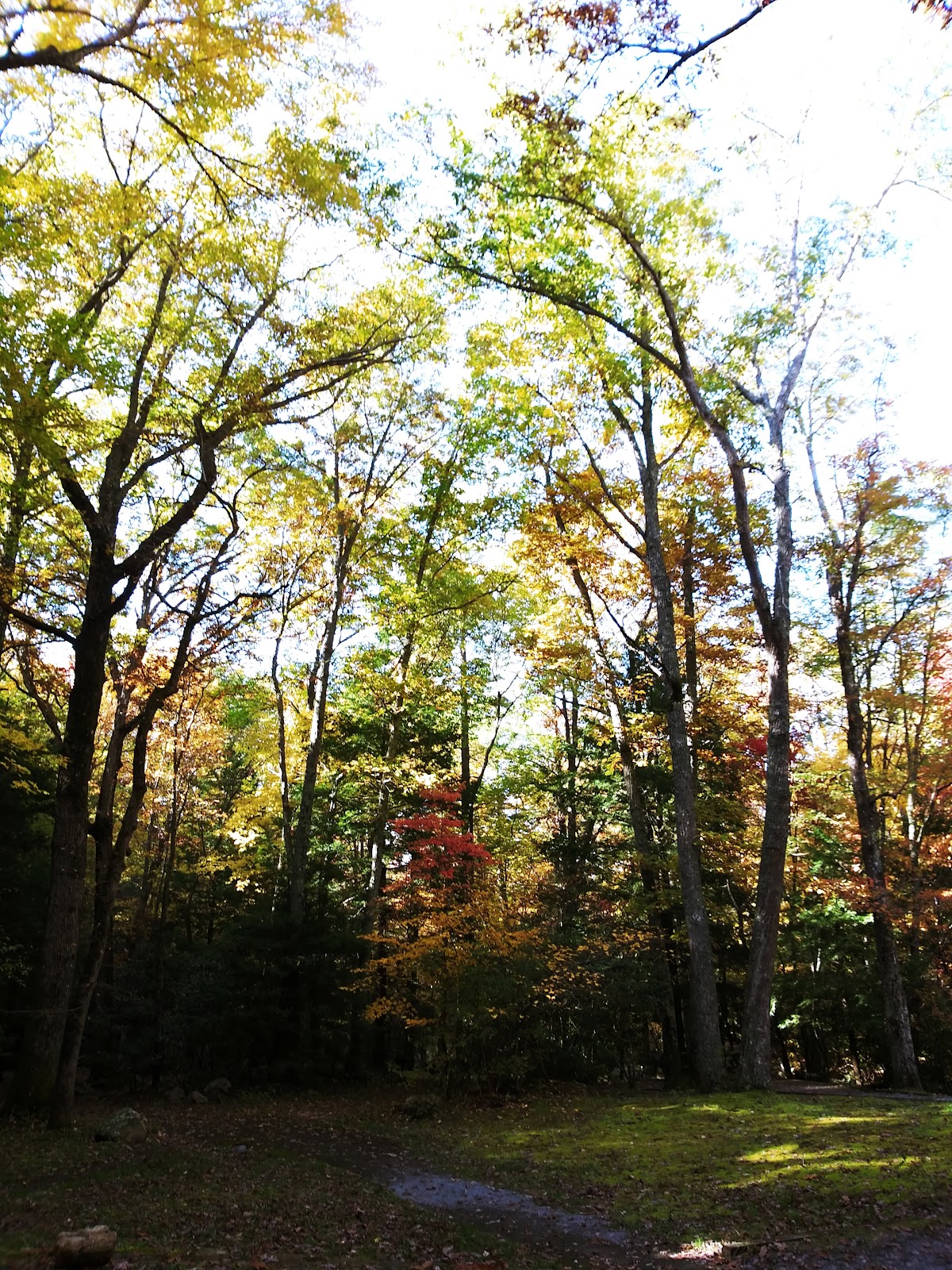 Horse Creek Recreation Area