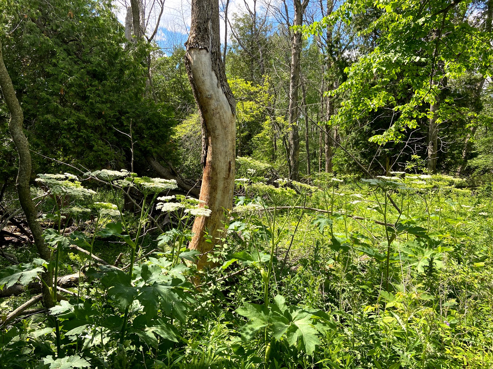 Harrington Beach State Park