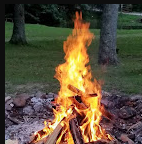 Cosby Run Campground