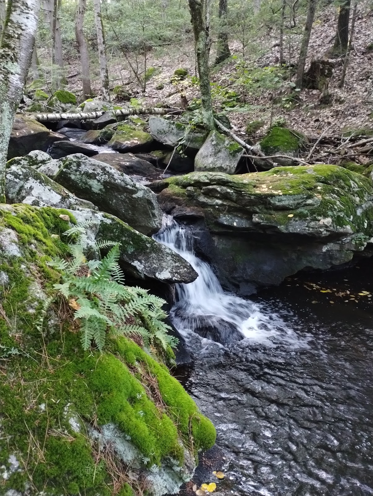 Pearl Hill State Park