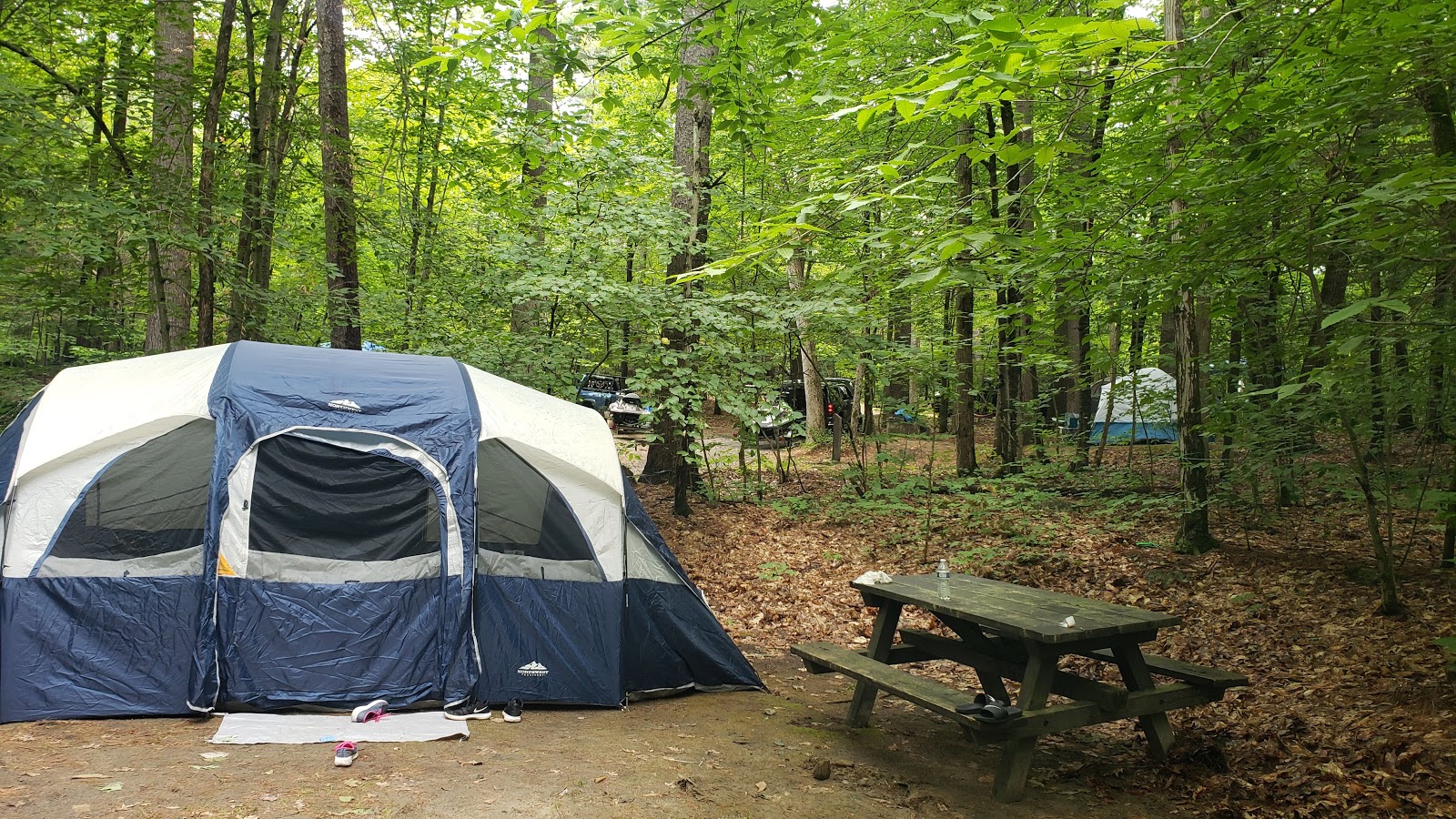 Rogers Rock Adirondack Preserve