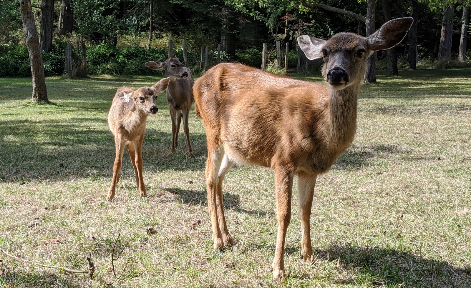 Jones Island State Park