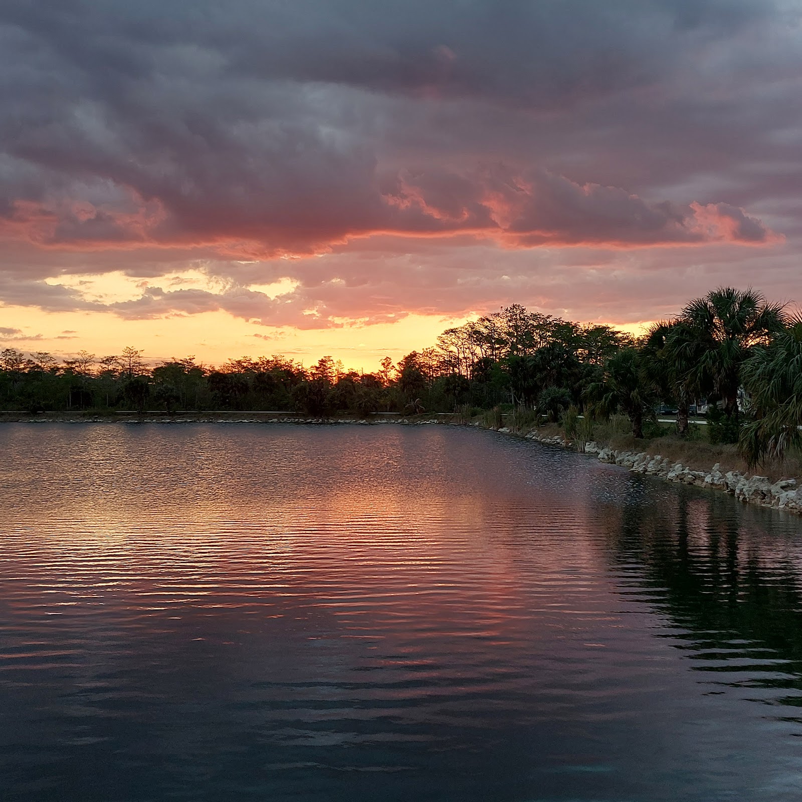 Monument Lake - Big Cypress National