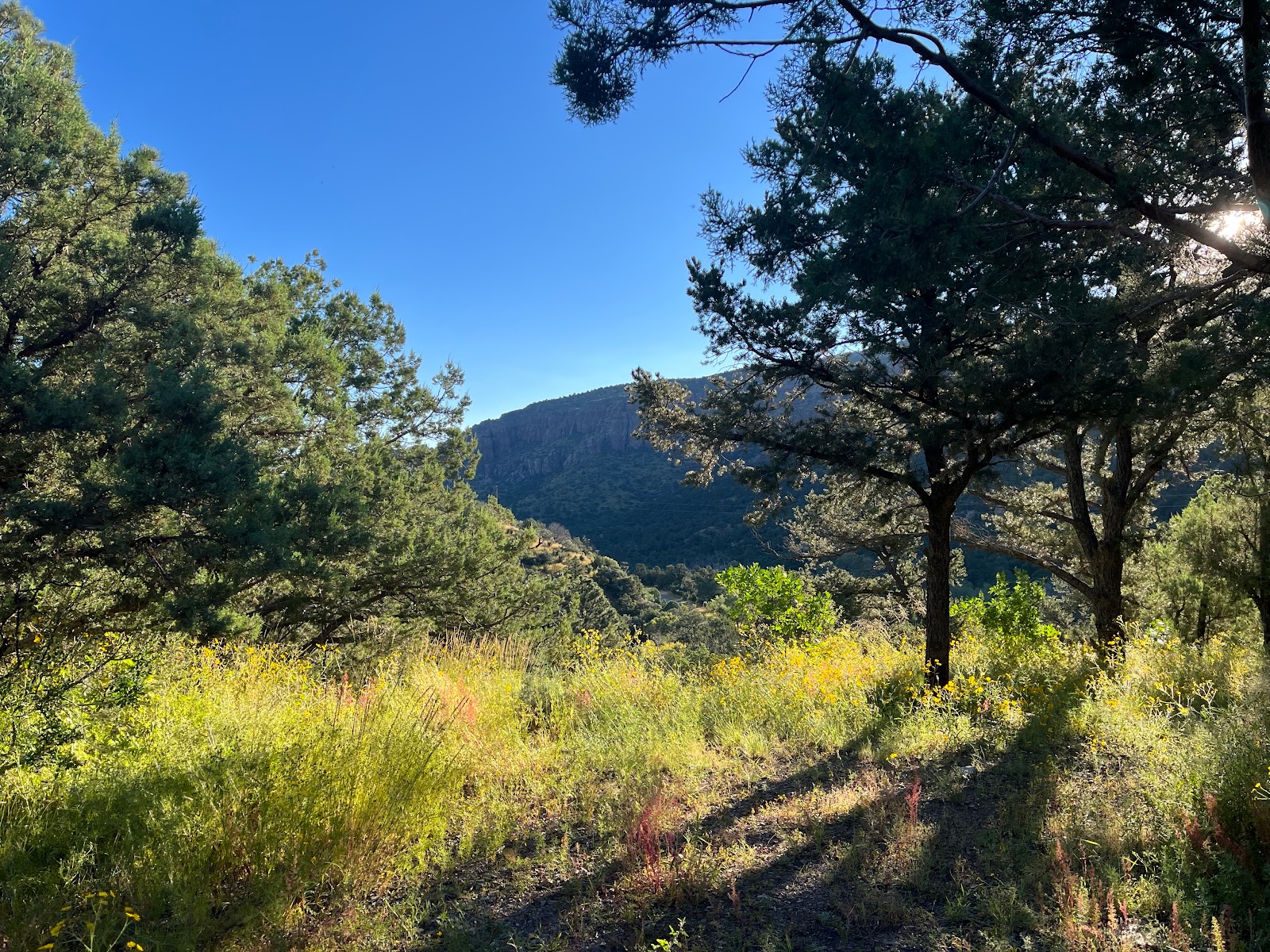 Water Canyon Campground