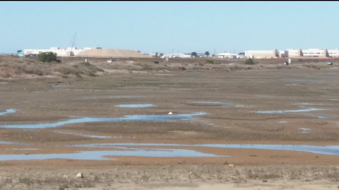 Bernardo Shores RV Park