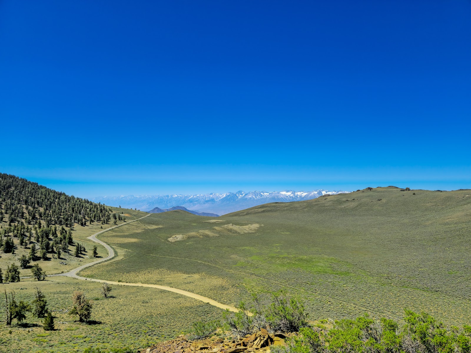 Pine Grove Campground