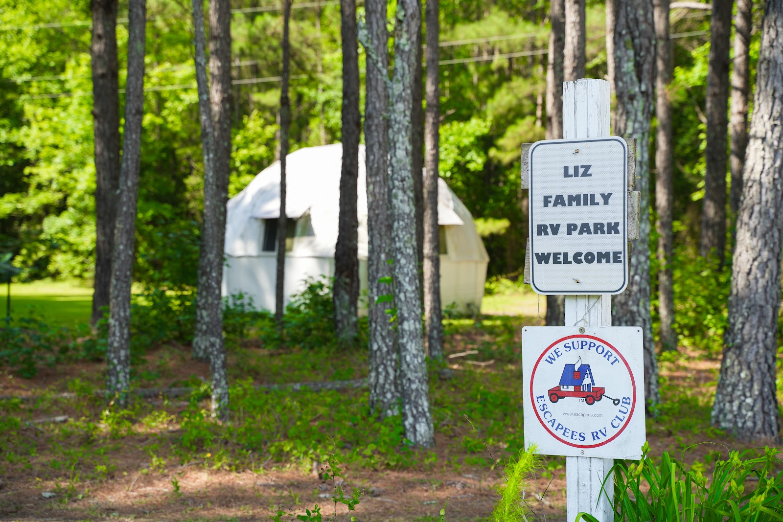 OASIS OF NORTH CAROLINA