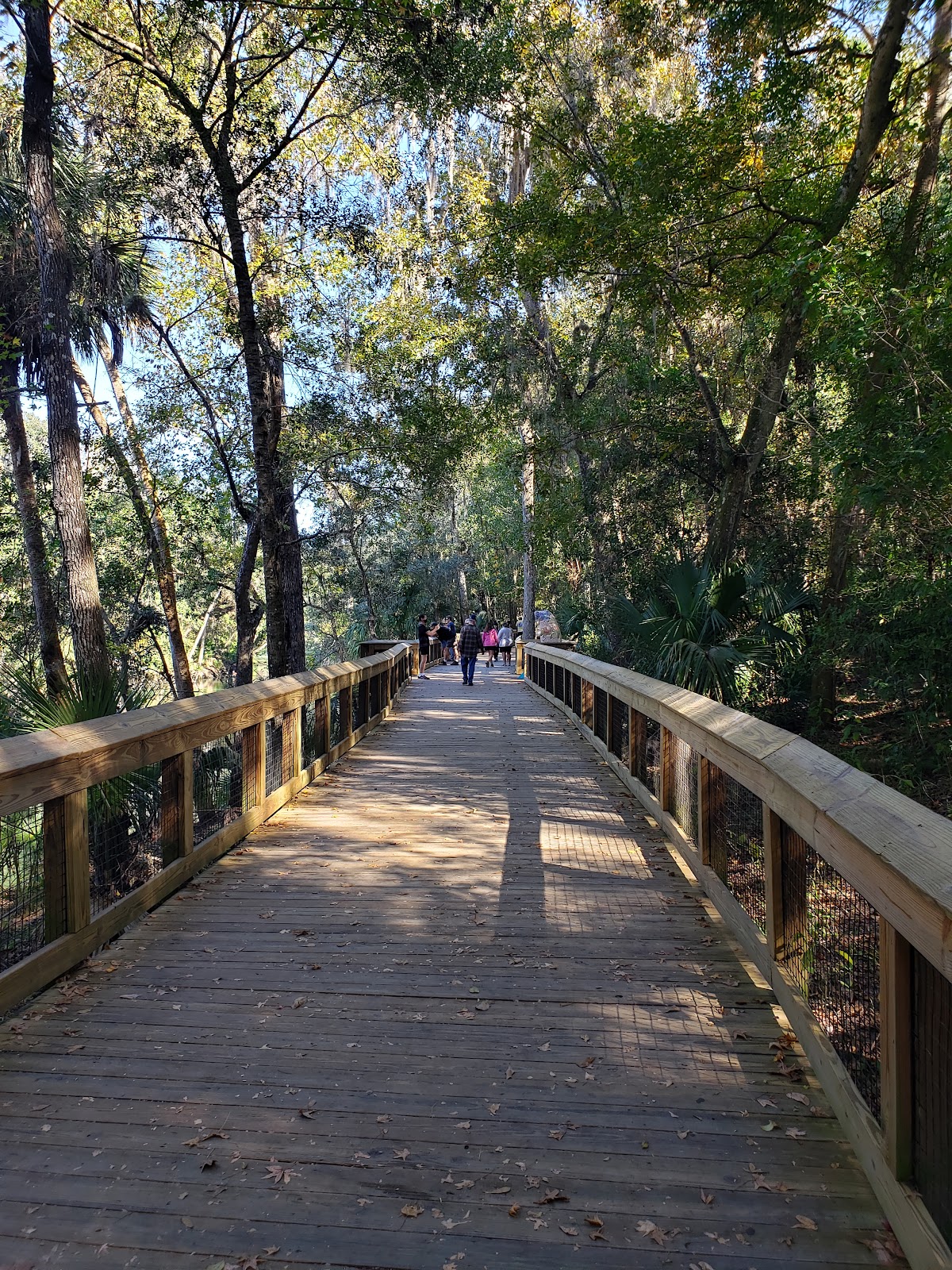 Blue Springs State Park