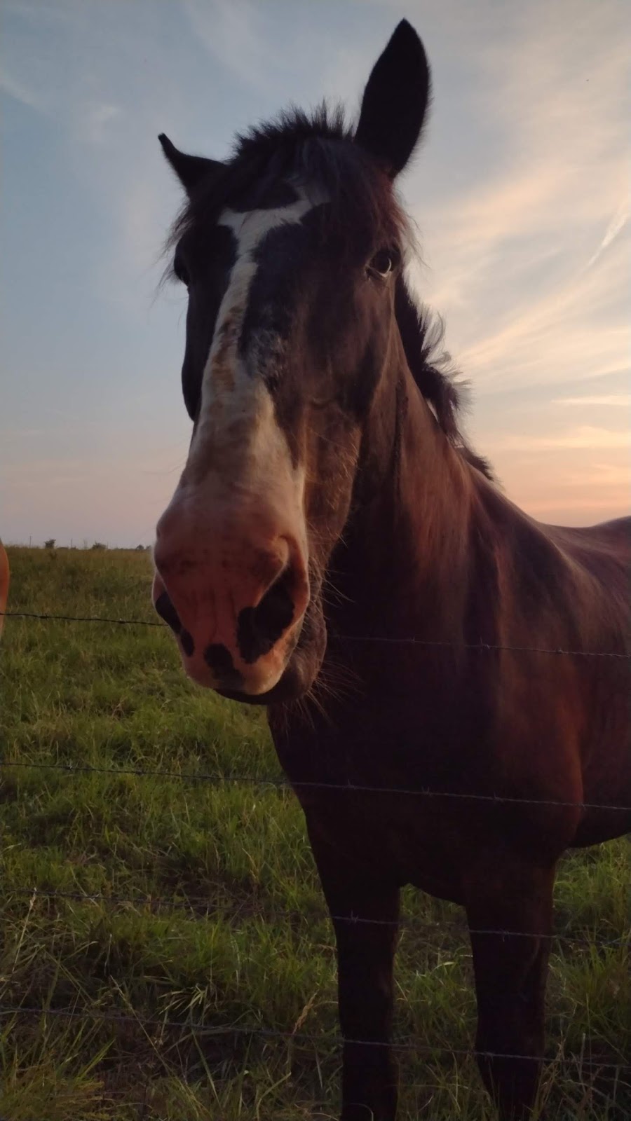 Indian Lakes Campground