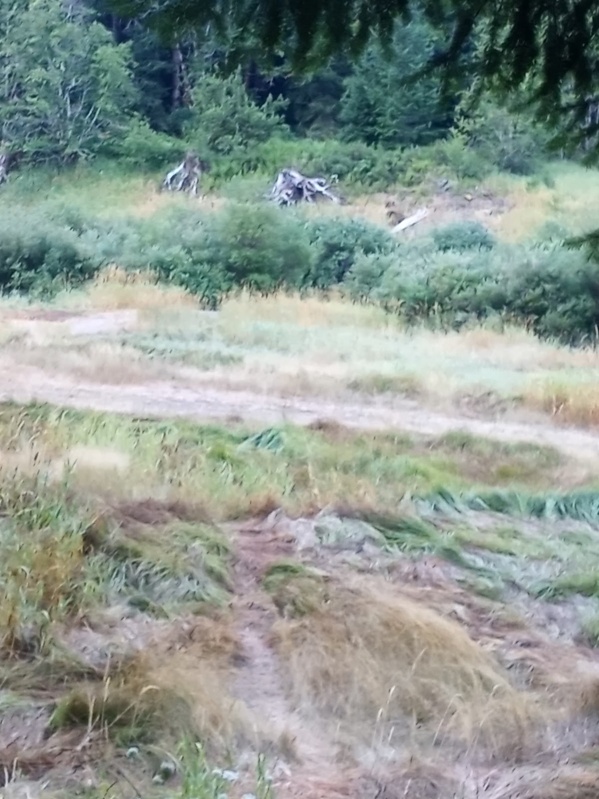 Sunnyside Campground