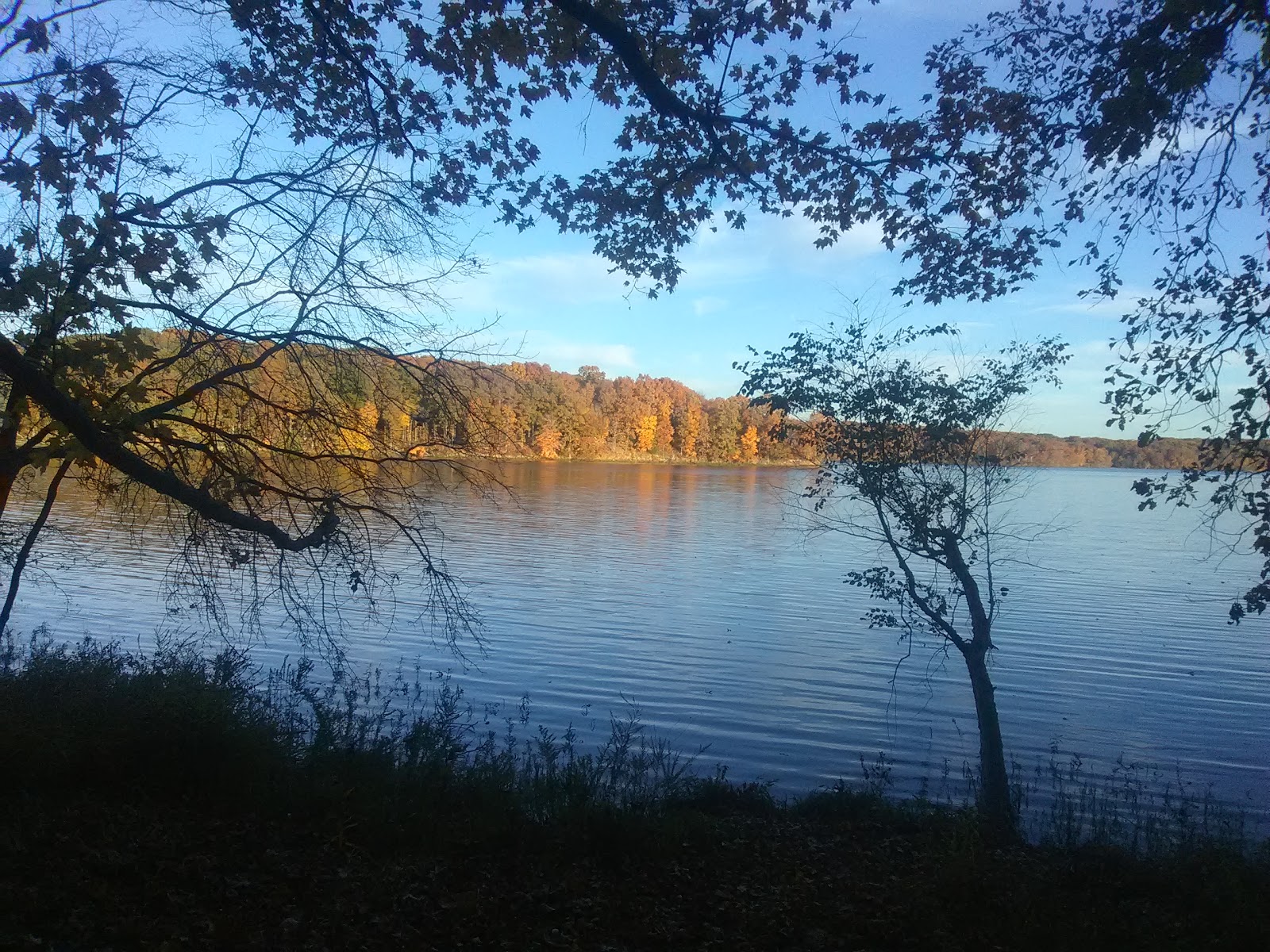 Stephen A. Forbes State Park