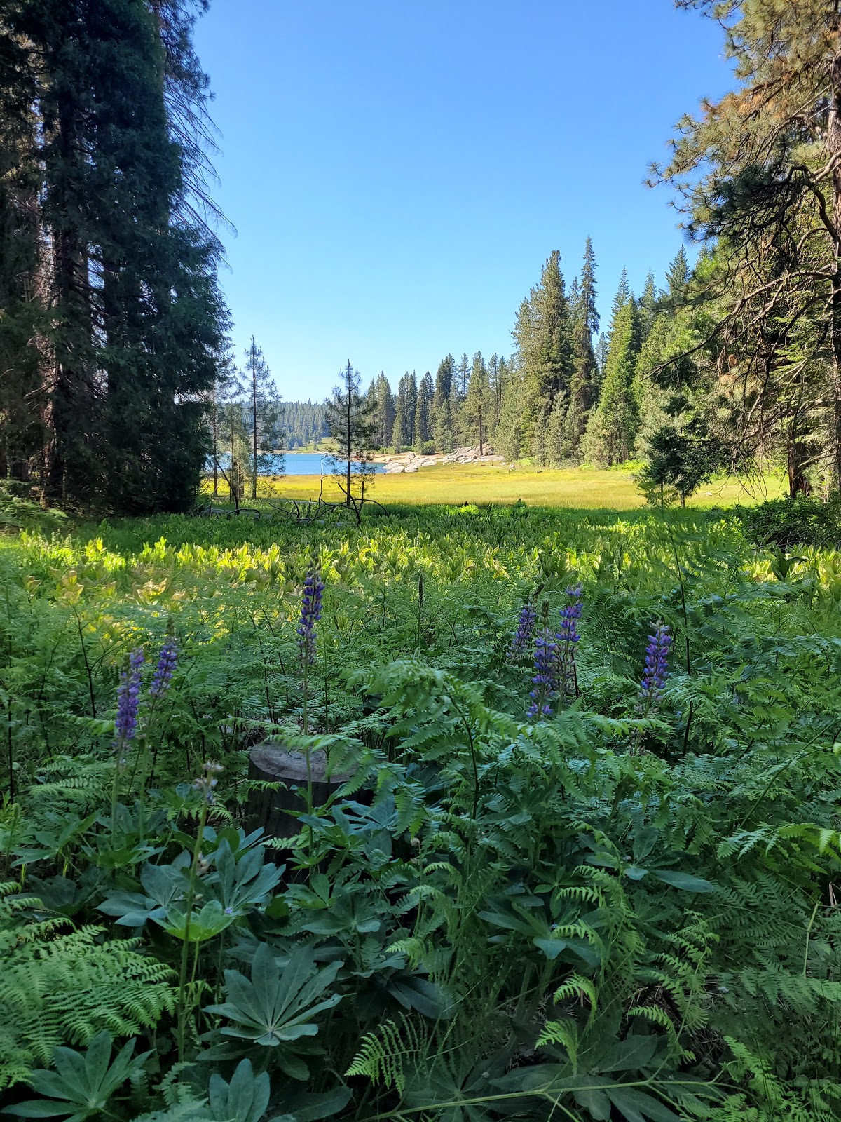Dorabelle Campground