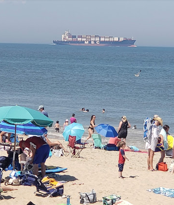 Cape Henlopen State Park