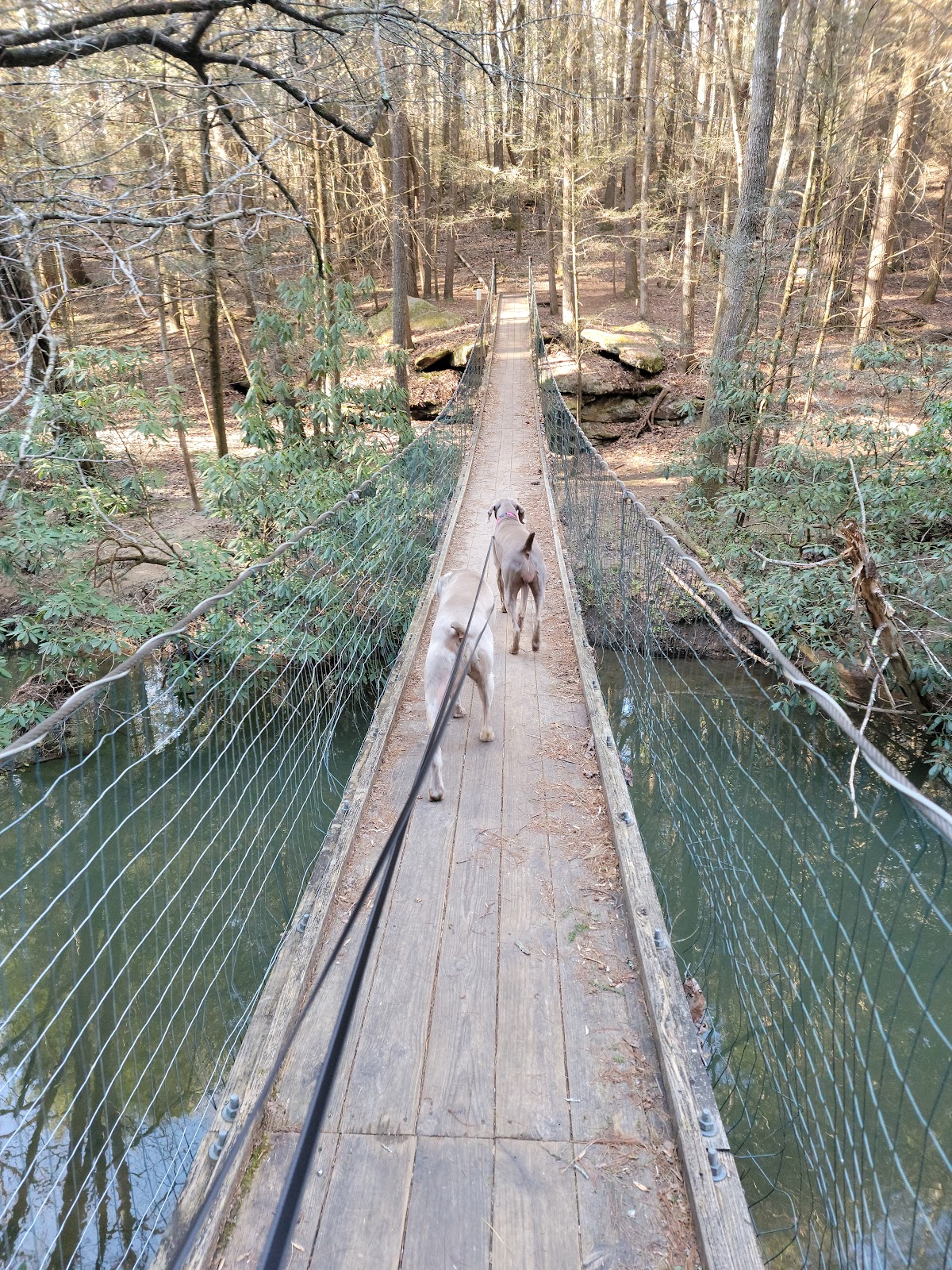 Cumberland Mountain State Park