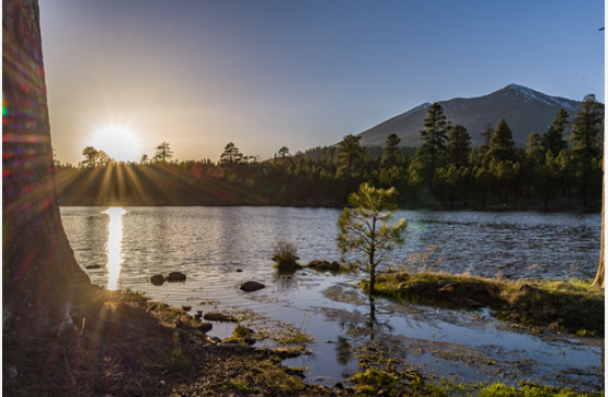 Bonito Campground (USFS)