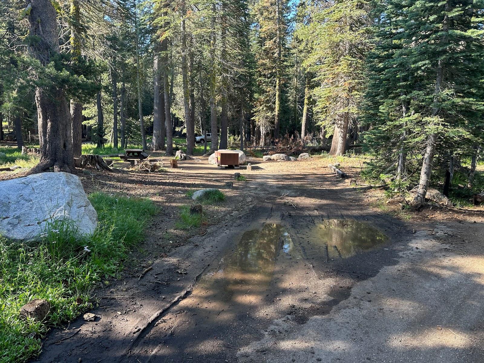 Pine Marten Campground