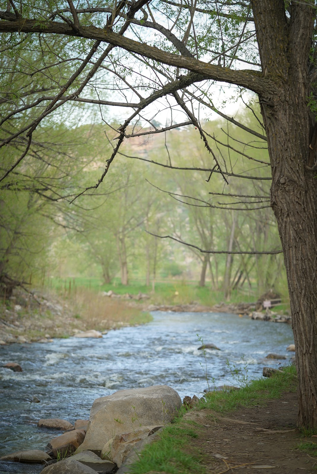 Riverview RV Park & Campground