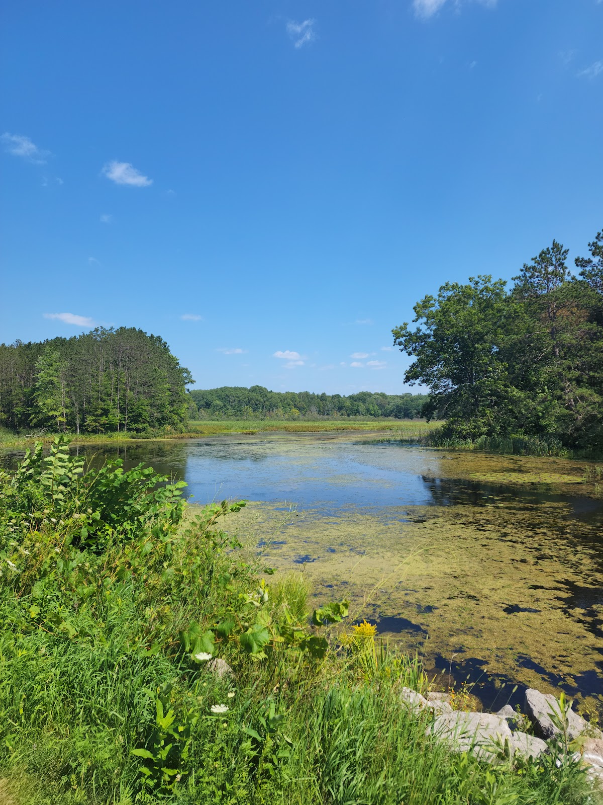 Minnie Pond Campground