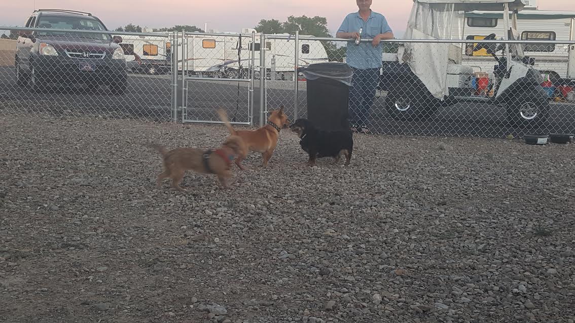 Spring River RV Park