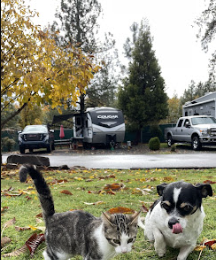 Lone Mountain RV Resort