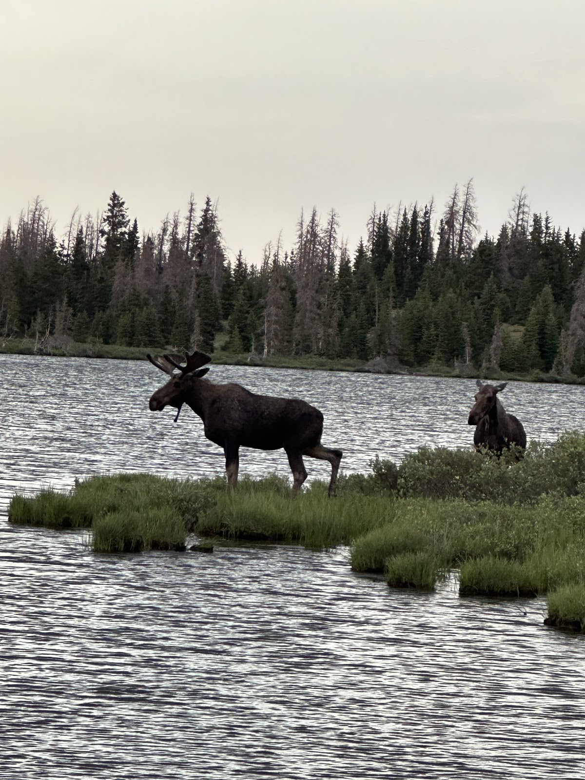 Henrys Fork Trailhead Campground