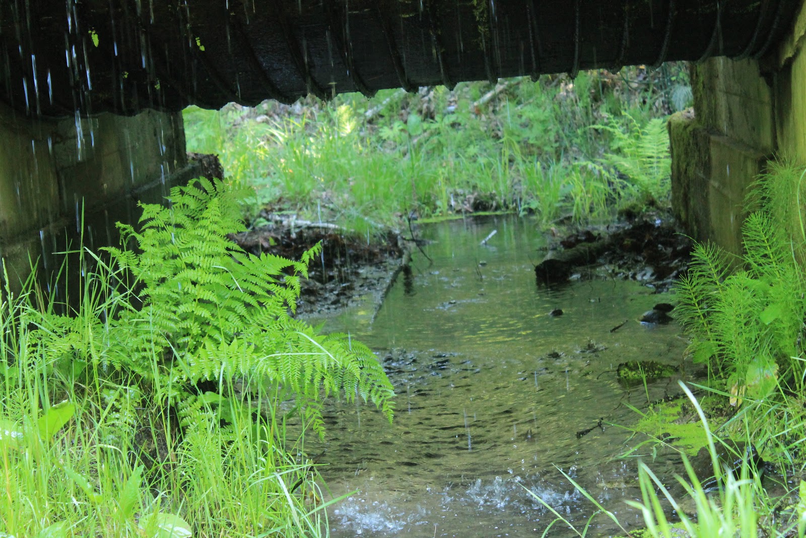 Whitehorse Falls Campground